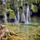 Cascade des tufs à Planches-près-Arbois 