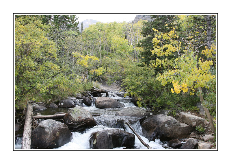 Cascade de Shelton 