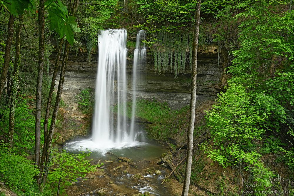 Cascade du Dard