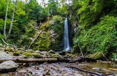 Cascade du Heidenbad