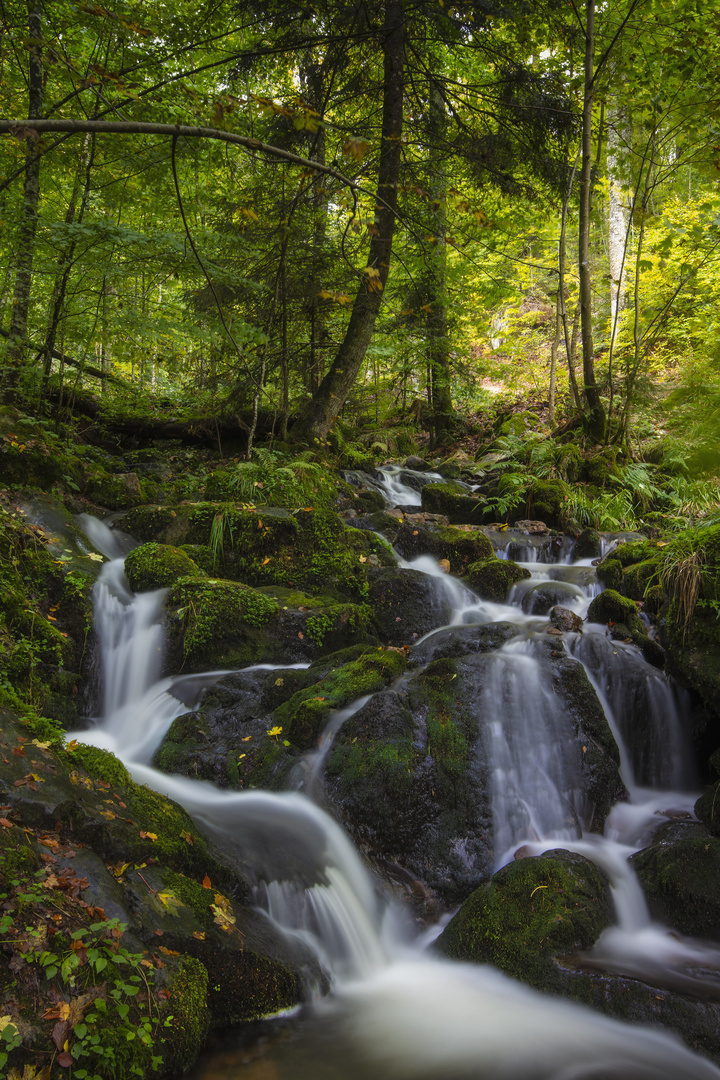 Cascade du Hohwald