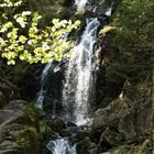 cascade du tendon