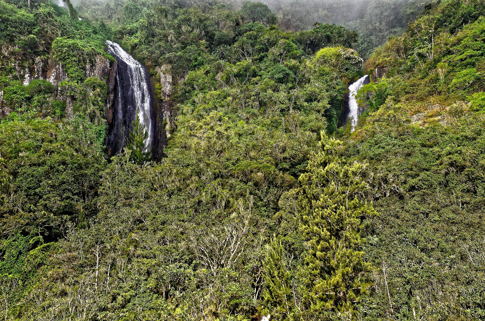 cascade du voile de la mariée 