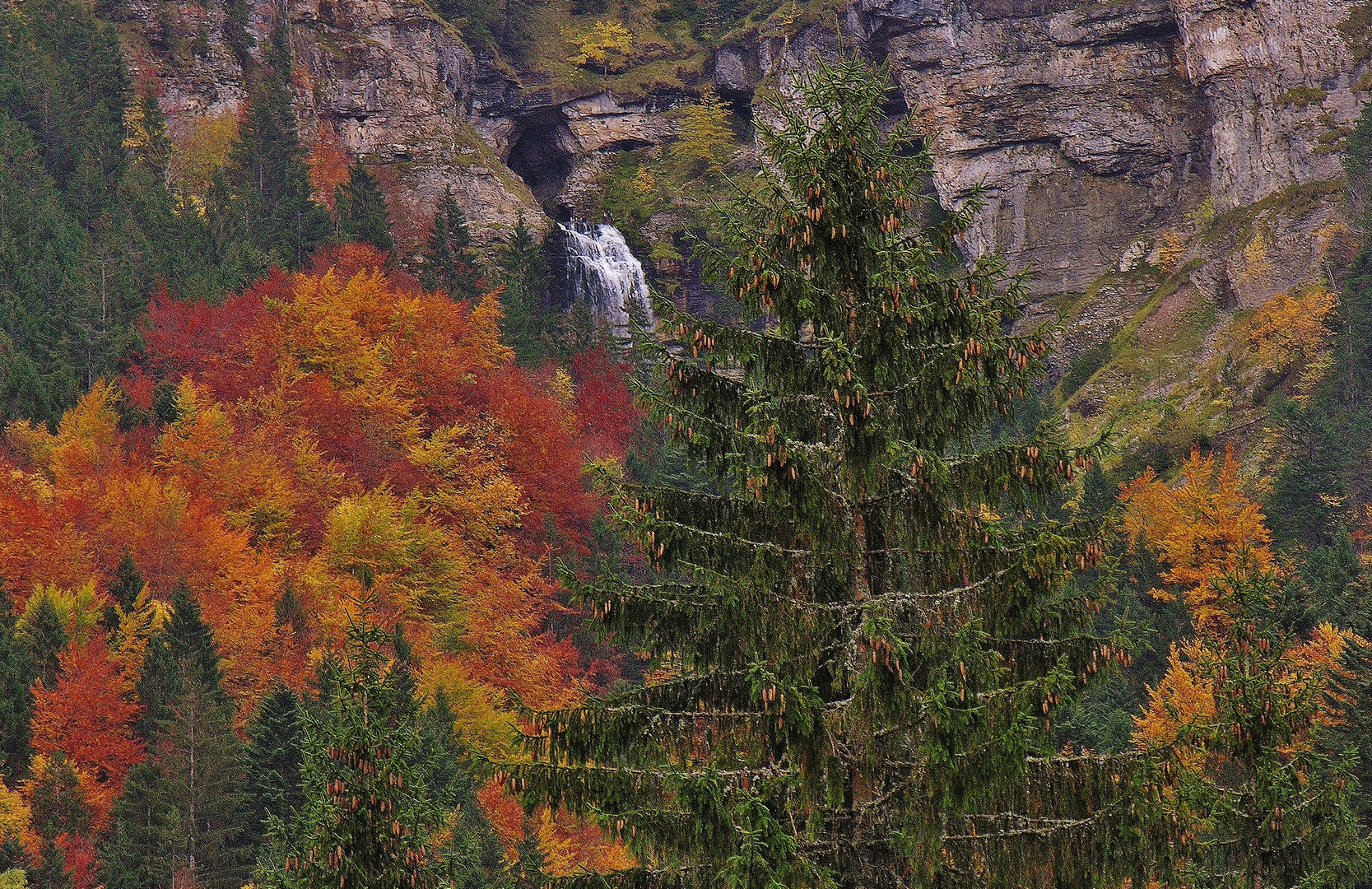 Cascade en automne.