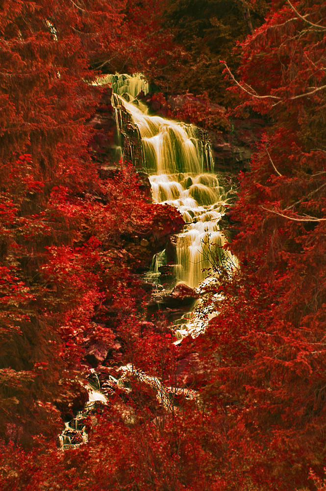 cascade en automne