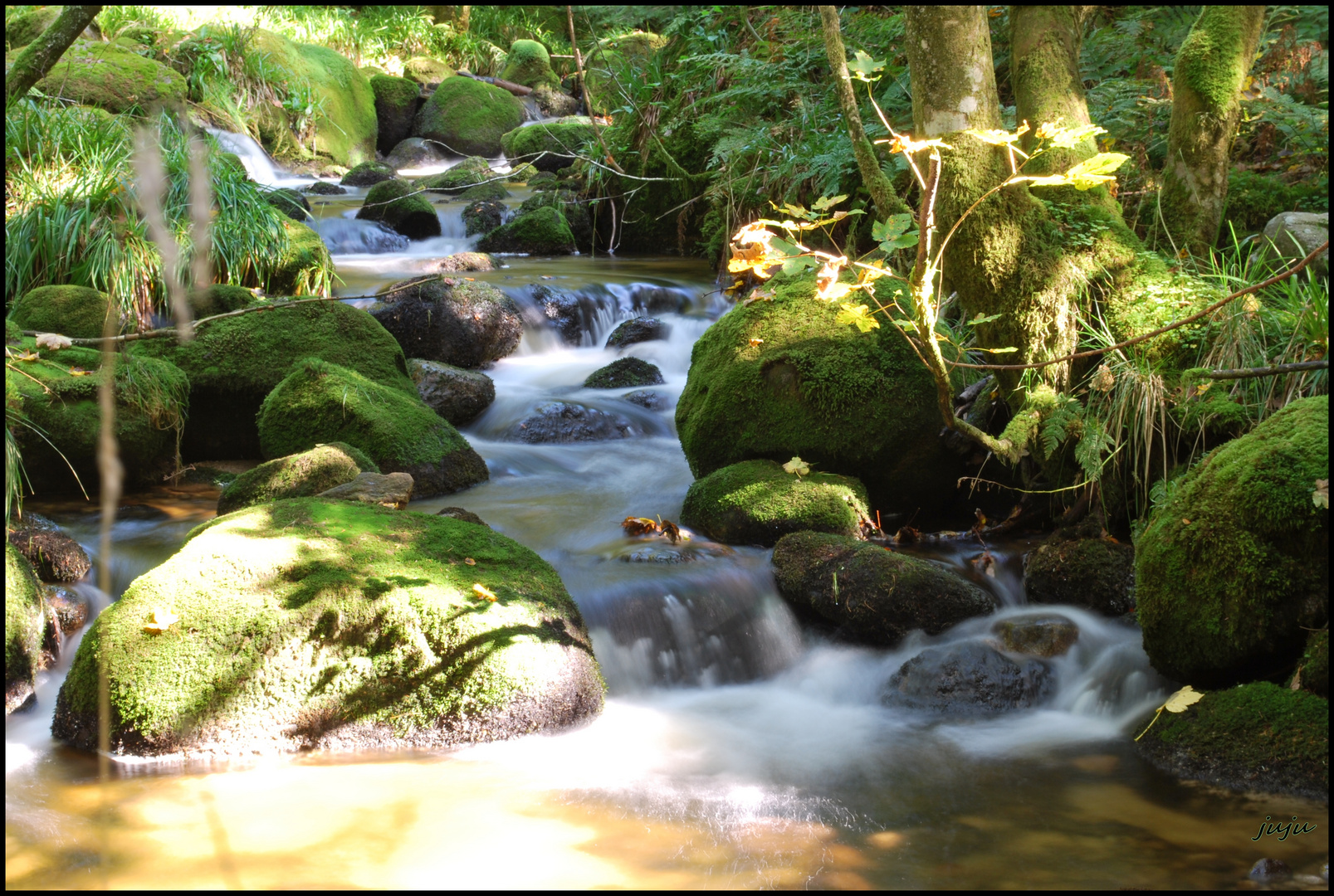 Cascade en bord de route