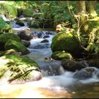 Cascade en bord de route