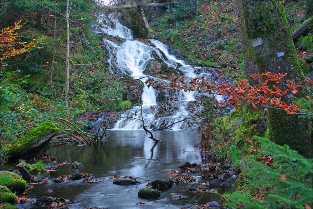 cascade entre Longemer et Retournemer ( Hautes VOSGES)