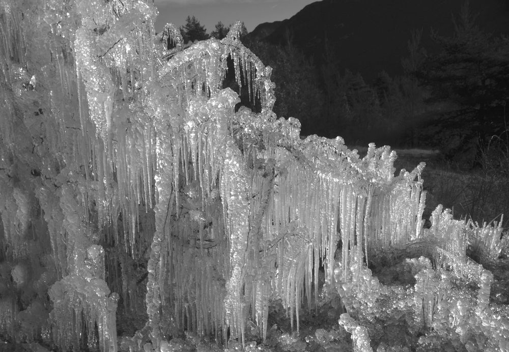 * cascade gelée *