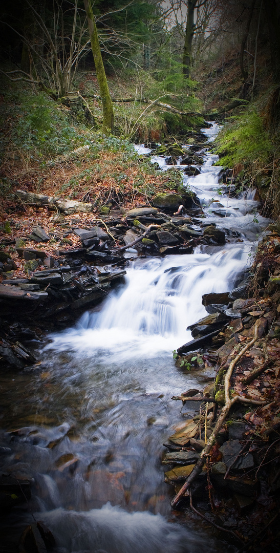 Cascade nr Bargoed 