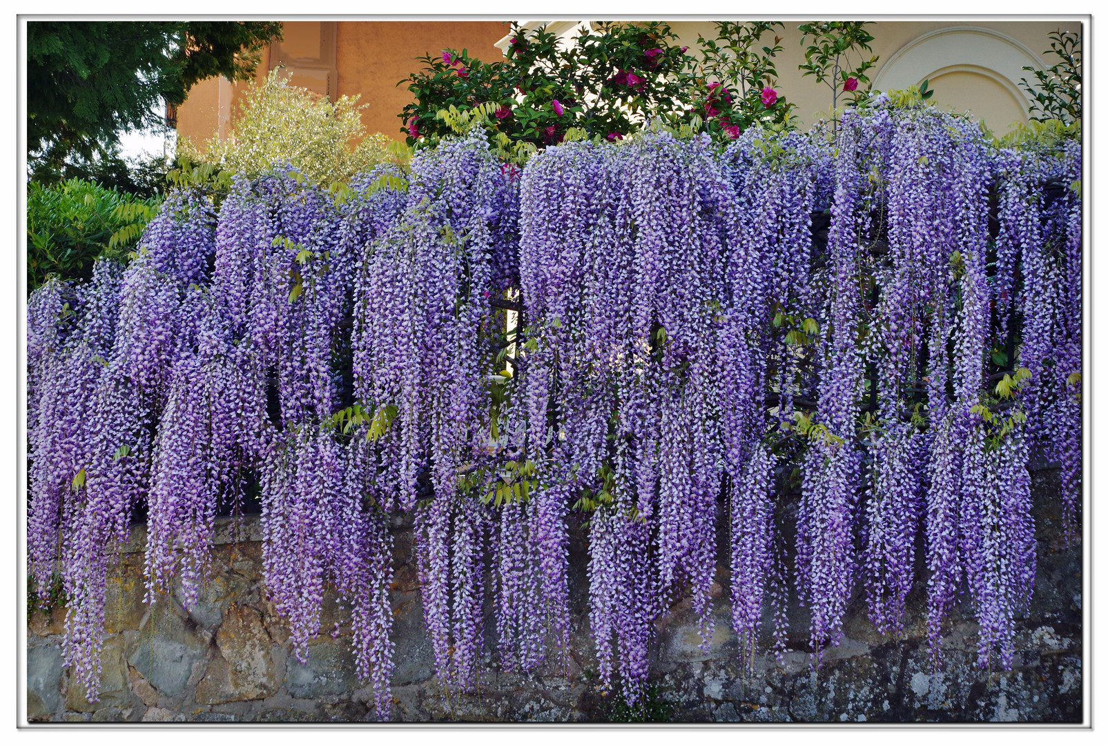 cascade parfumèe...