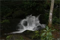 Cascade Saint Nicolas (France) 3