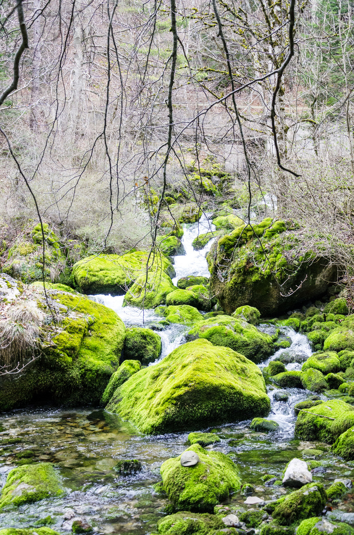 cascade-verte