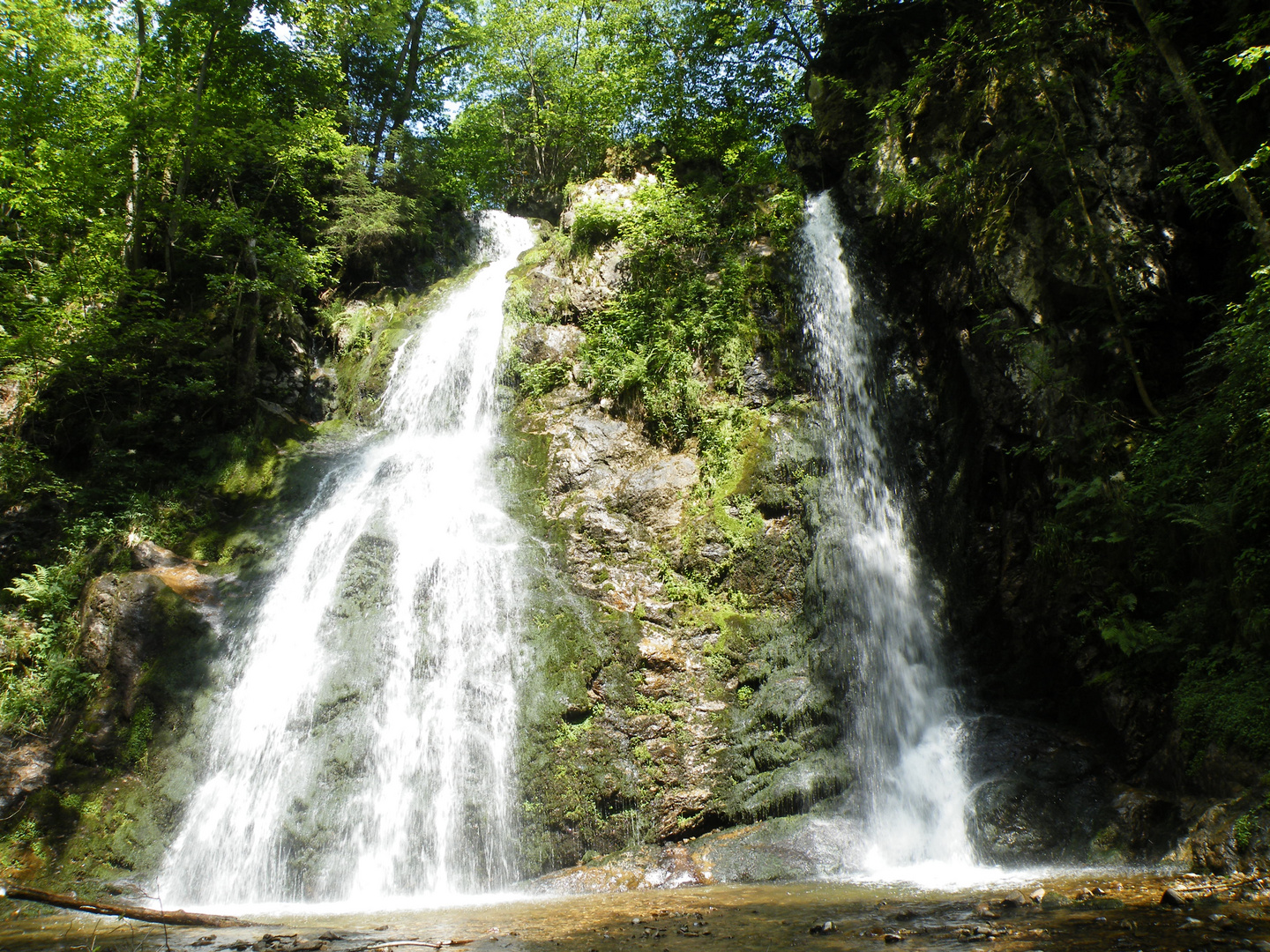 cascade vosgienne