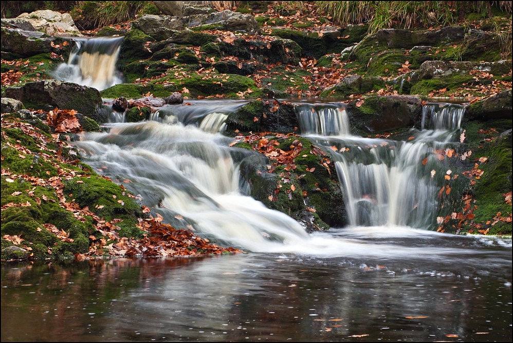 Cascades