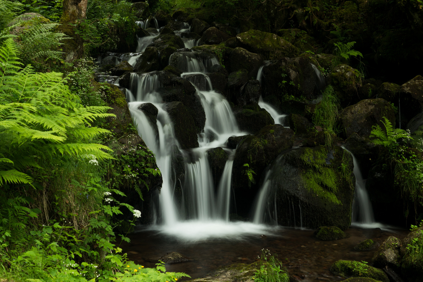 Cascades de Chambeuil