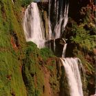 Cascades d`Ouzoud, Maroc, 1994