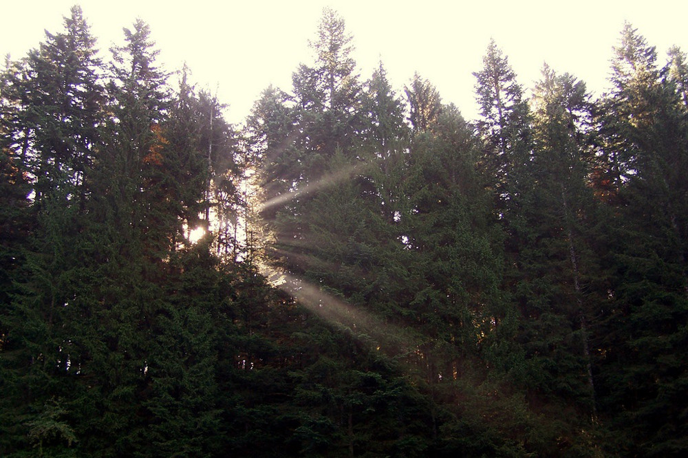 cascades du Hérisson