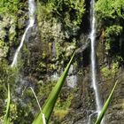 cascades du voile de la mariée