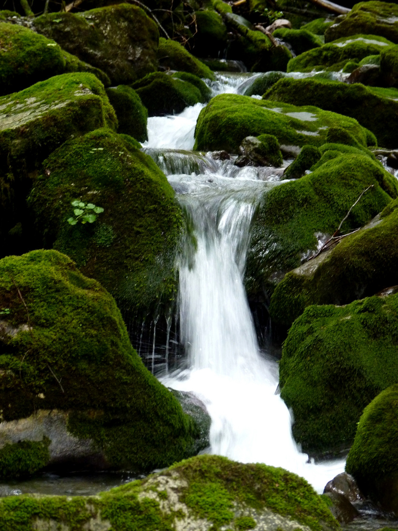 Cascades en montagne