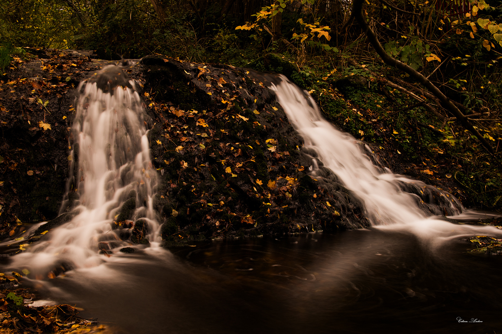 Cascades les Saliens