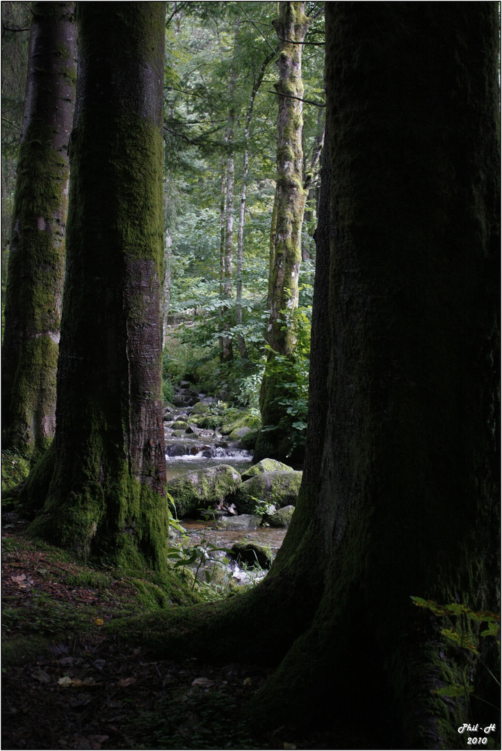 cascades Saint Nicolas (France) 1