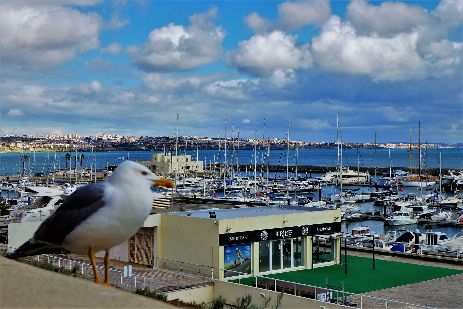 Cascais Marina