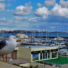 Cascais Marina