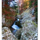 cascata d'autunno