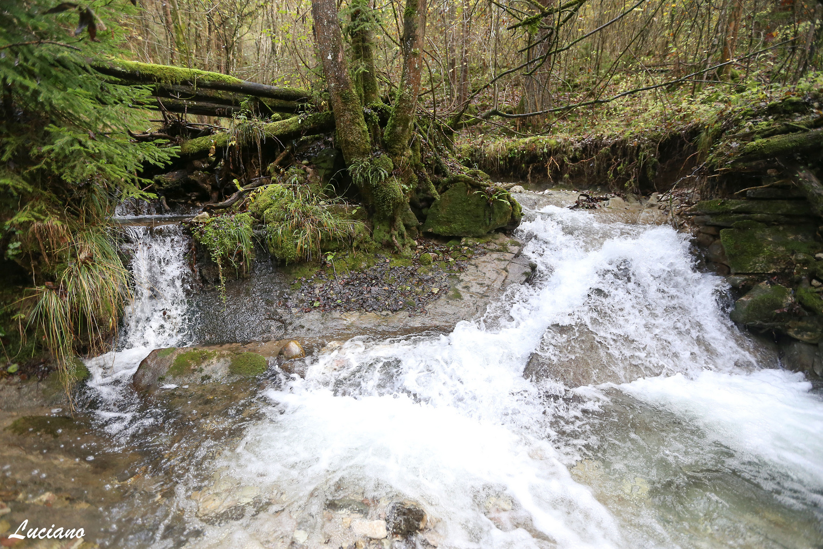 cascata del ruscello