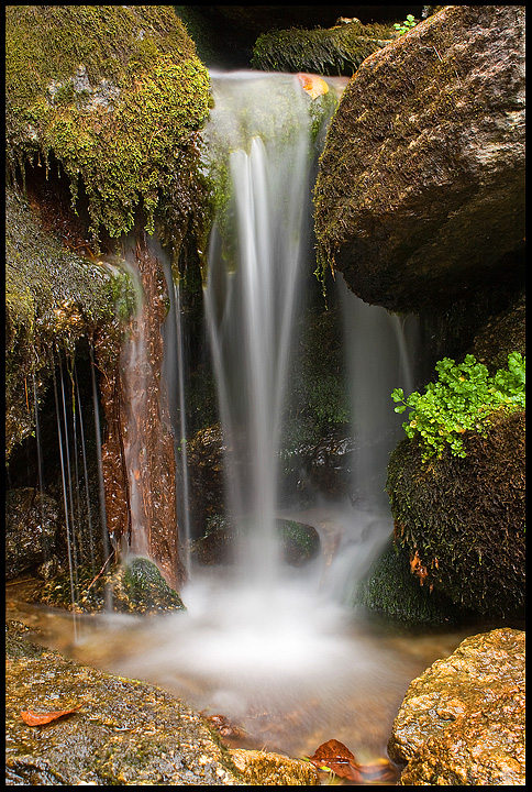 Cascata