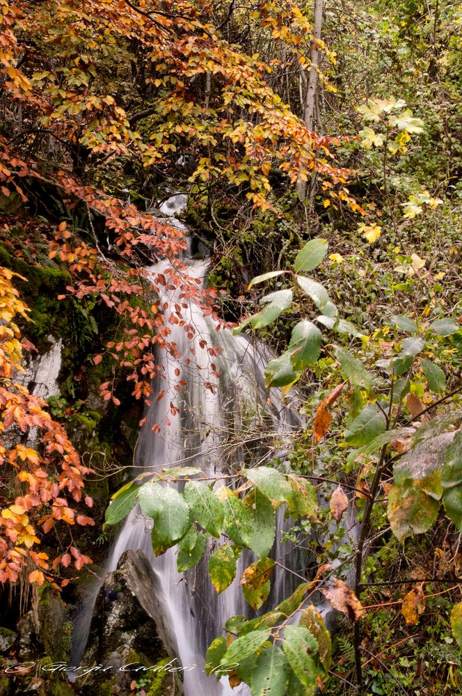 Cascata in autunno