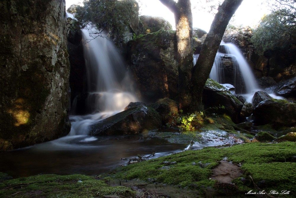 cascata monte arci