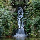 Cascata nel parco