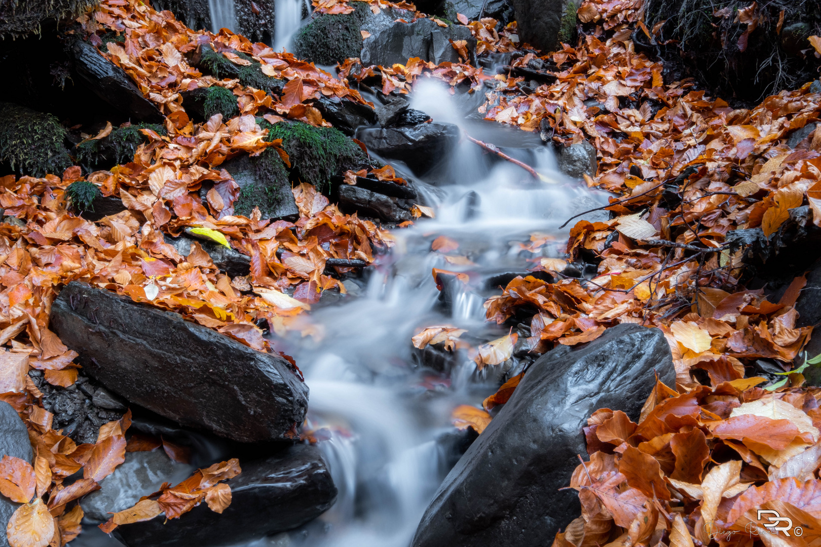 Cascate