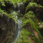 Cascate delle Ferriere (AMALFI)