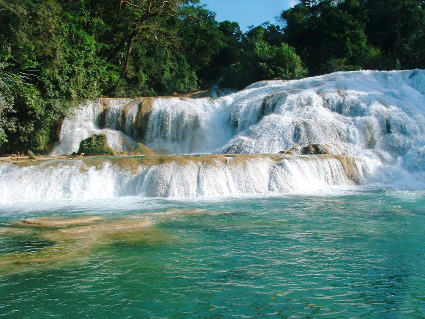 Cascate di Agua Azul (Mexico- Chiapas)