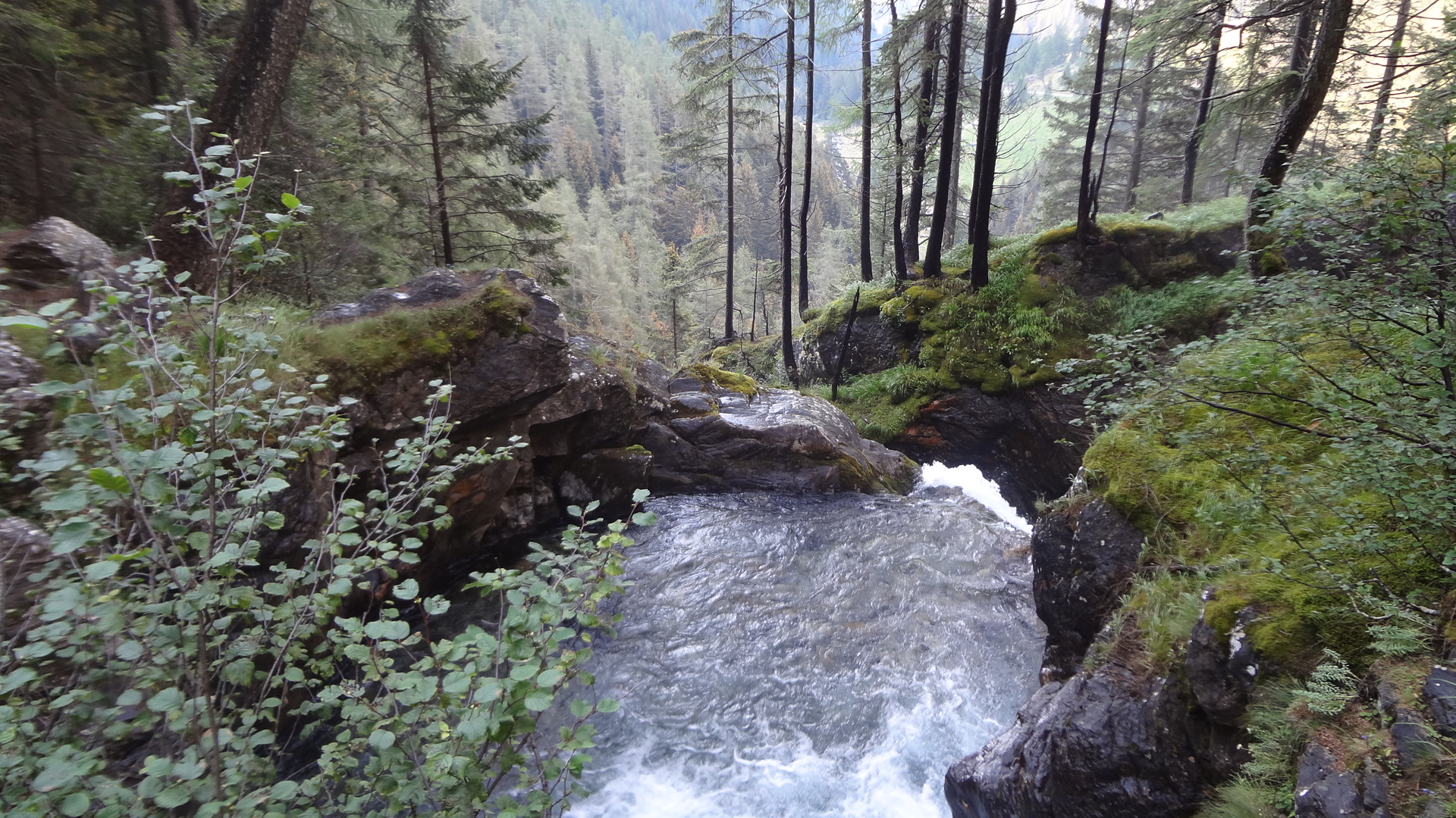 Cascate Saent Val di Rabbi (TN)