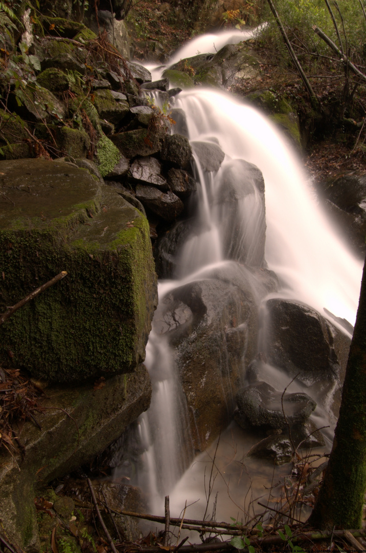 cascate (sever de vouga-portugal)