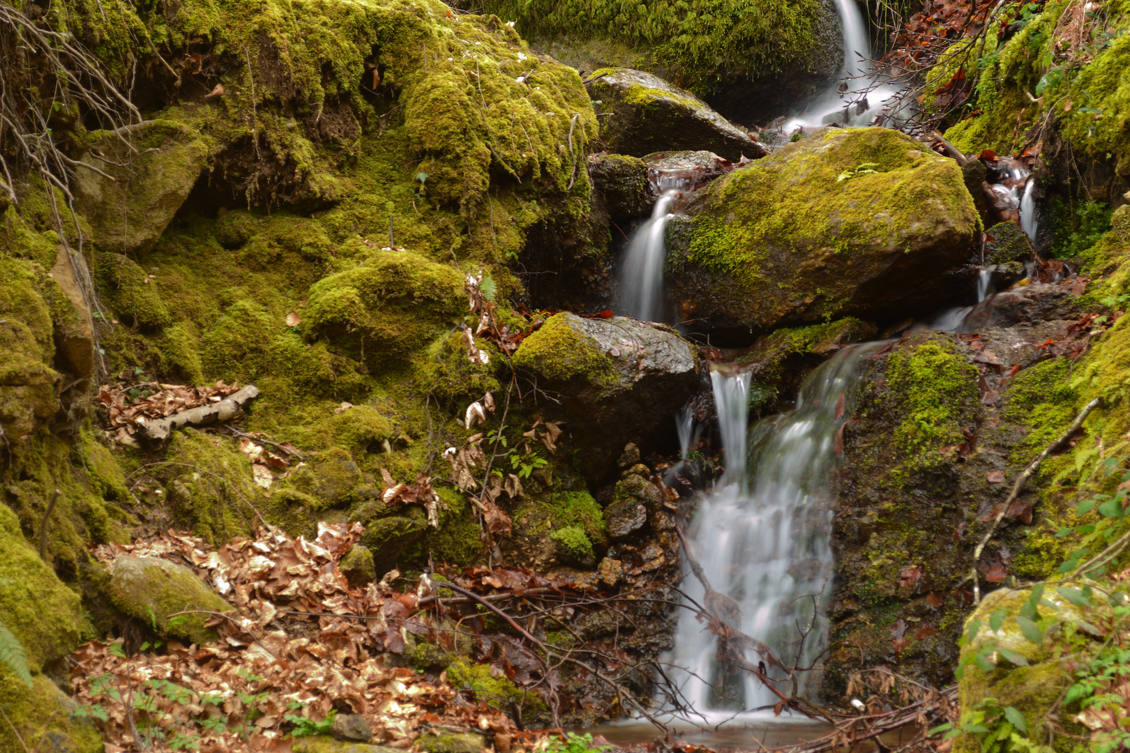 Cascatelle affluente del torrente Fallà (Monti delle Serre, Calabria)