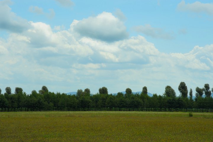 Cascine di Tavola 1