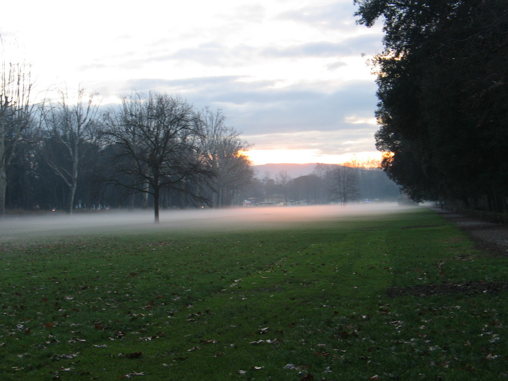 cascine firenze