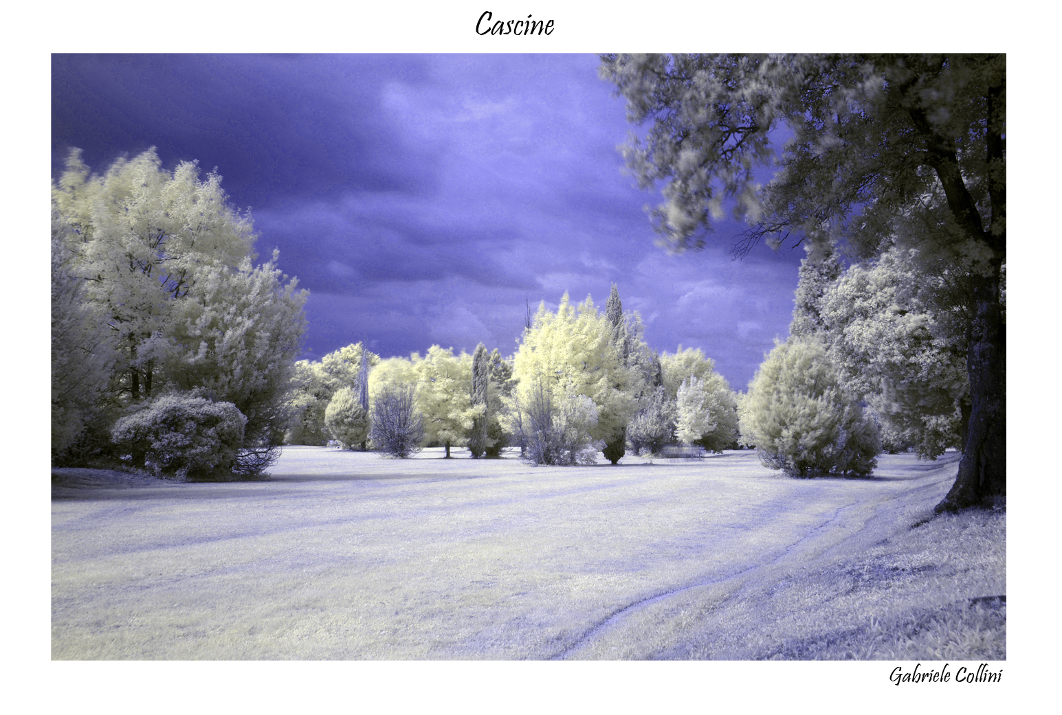 Cascine infrared 3