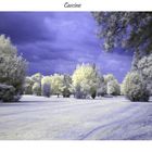 Cascine infrared 3