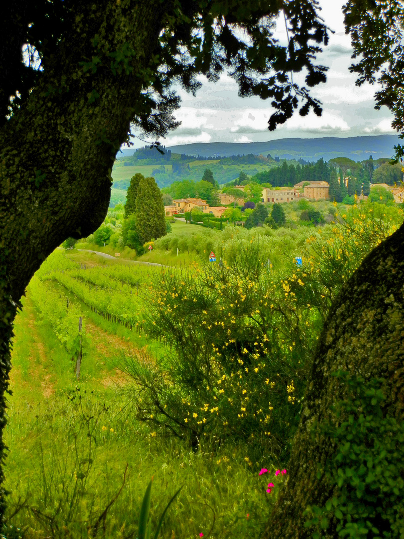 case fra gli alberi