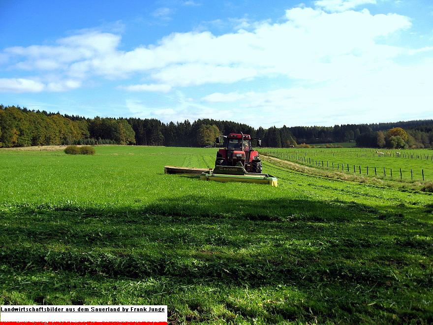 CASE IH MAXXUM beim 4.Schnitt