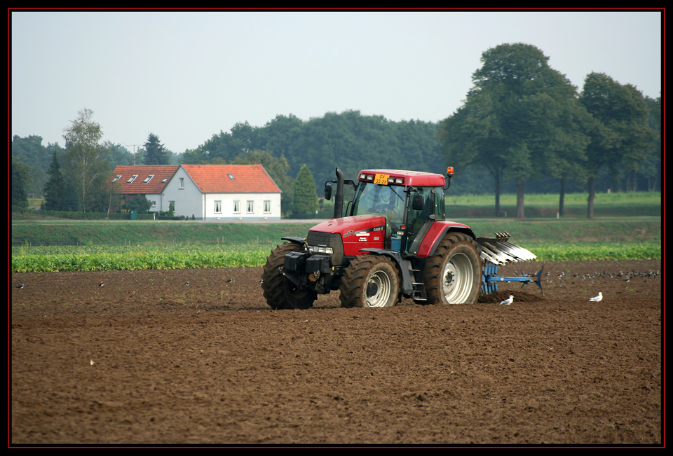 Case IH MX 170 Nr. 2