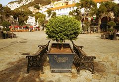 Casemates Square 2008