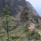 CASERIOS DE MASCA - TENERIFE