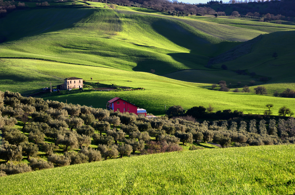 casetta rossa nel verde